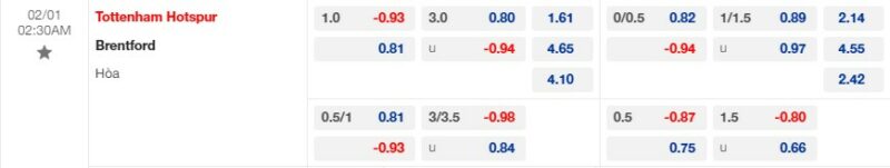 Bảng kèo trận đấu giữa Tottenham vs Brentford